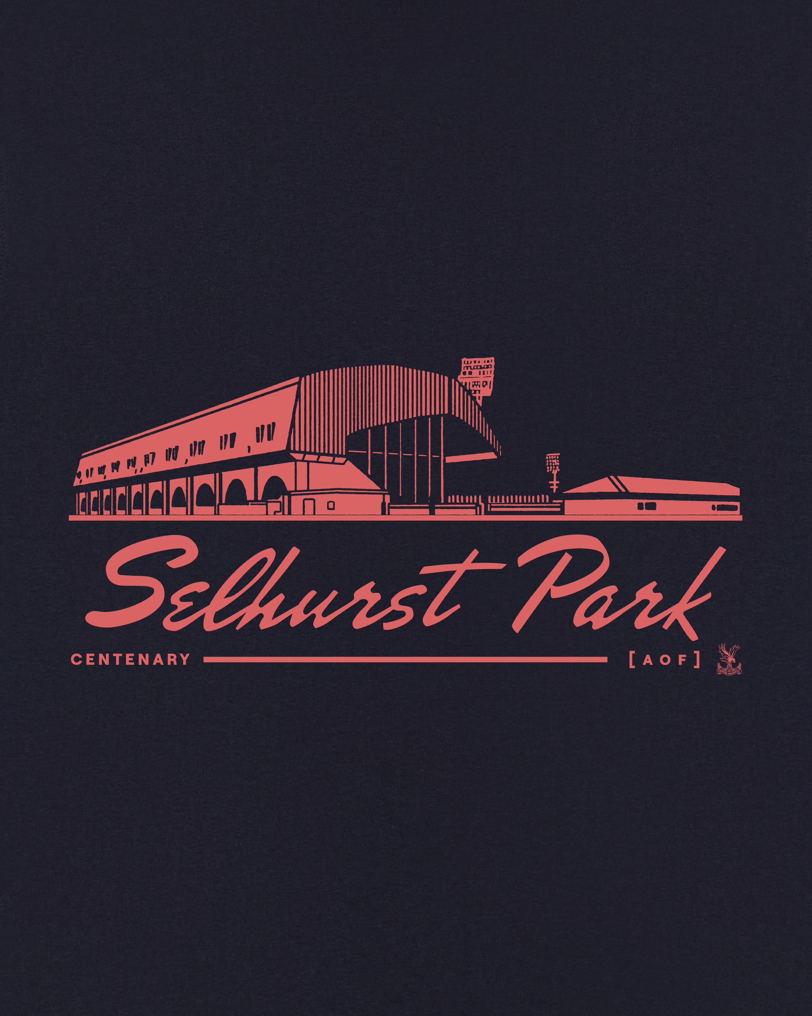 AOF x Crystal Palace Stadium Tee | Navy T-shirt | Art of Football