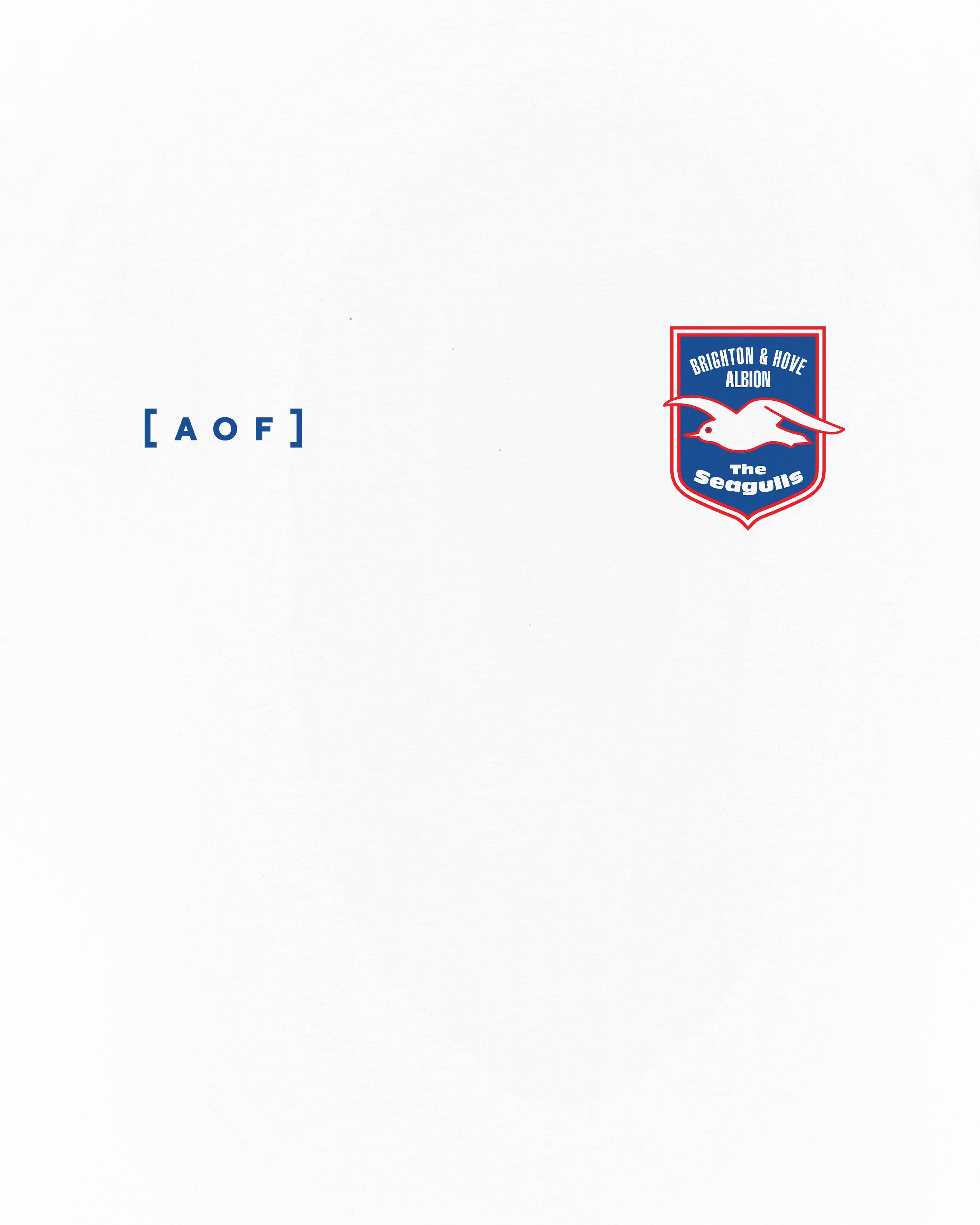 AOF x Brighton Crest Tee | White Graphic T-shirt | Art of Football